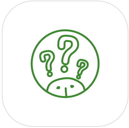 Questions That Spark Quarasity 2.png